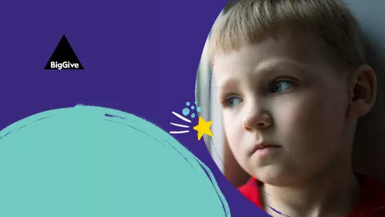 Christmas Big Give bannerv7