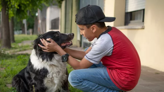 A young boy wearing a cap kneeling down and petting a dog