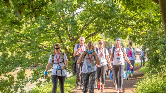 Group of walkers on a tree lined path