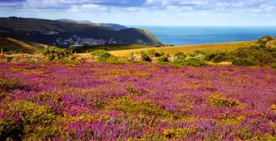 South West Coastal View