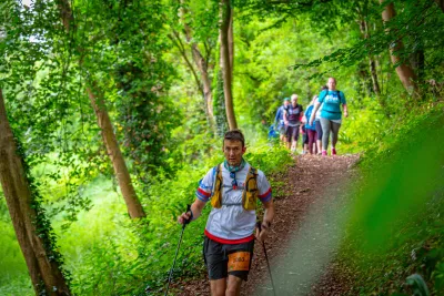 Walkers in tree line path