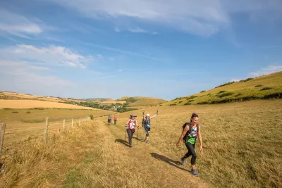Walkers through a field in summer