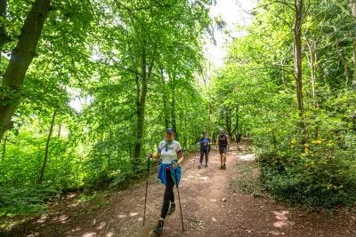Walkers in a tree line path