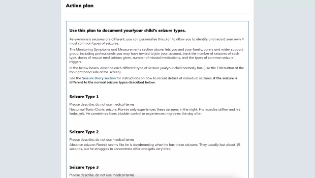 Action Plan section
