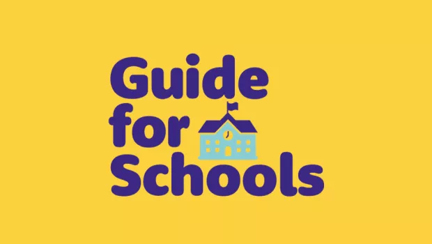 Graphic design representing the Young Epilepsy Guide for Schools.  