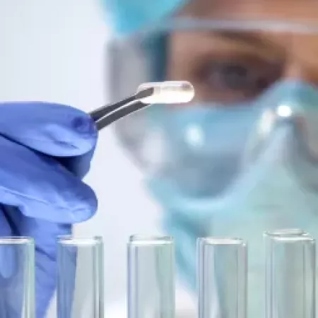 You might also be interested in...