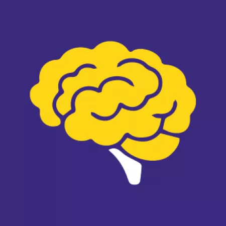 Our three programmes