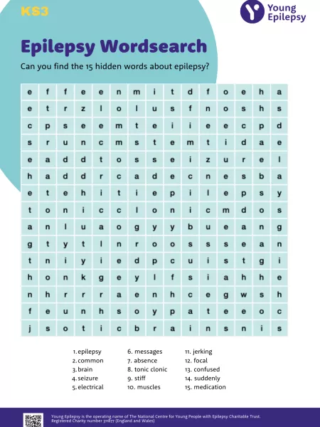 ks3 wordsearch image