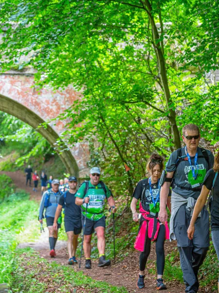 Group of walkers in woodland