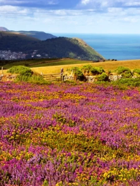 South West Coastal View