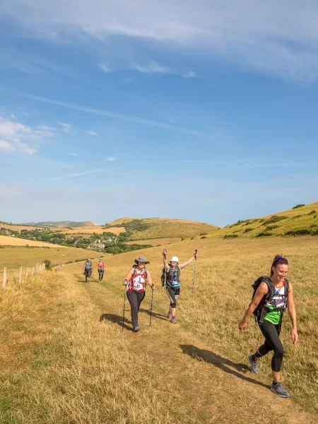 Walkers through a field in summer