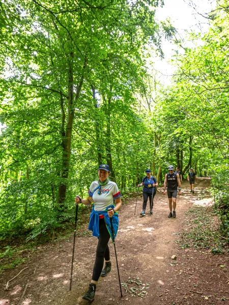 Walkers in a tree line path