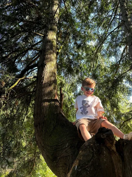 A young boy in sunglasses climbs a tree.